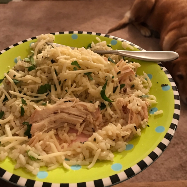 Slow Cooker Lime Chicken with Rice