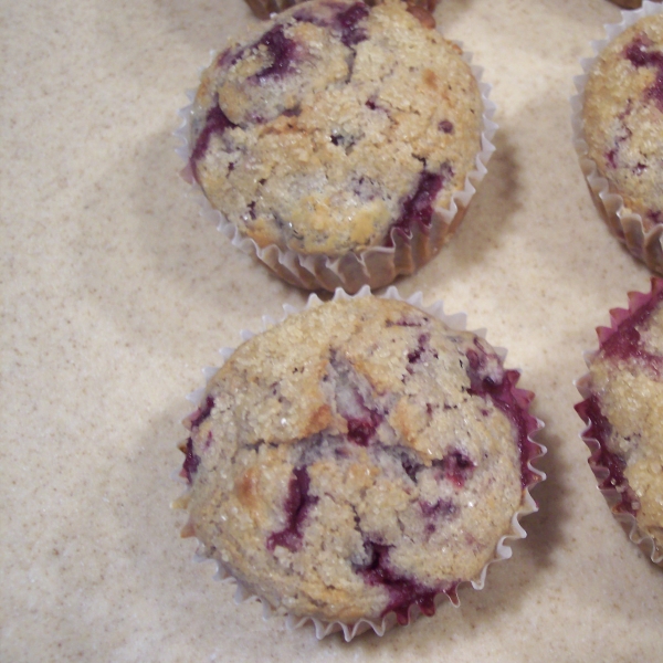 Wild Blackberry Muffins