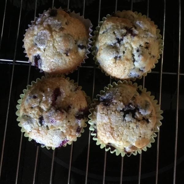 Wild Blackberry Muffins