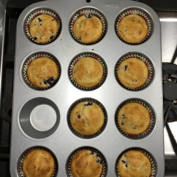 Wild Blackberry Muffins