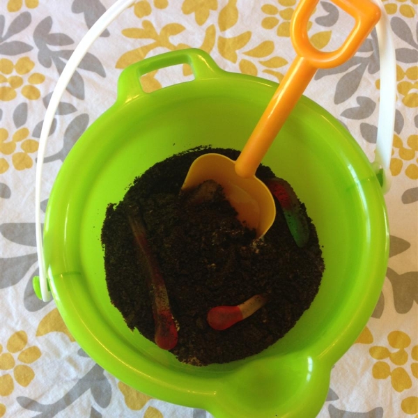 Bucket of Mud