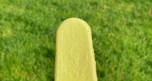 Coconut Key Lime Ice Pops