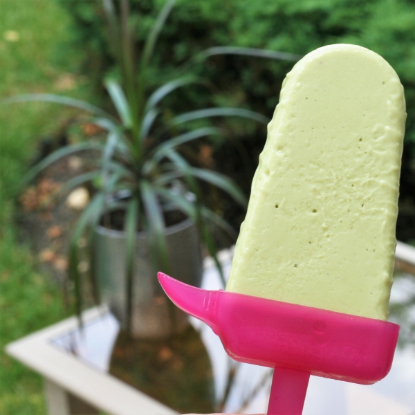 Coconut Key Lime Ice Pops