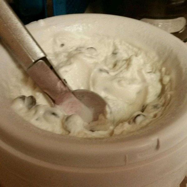 Vegan Mint Chocolate Chip Ice Cream