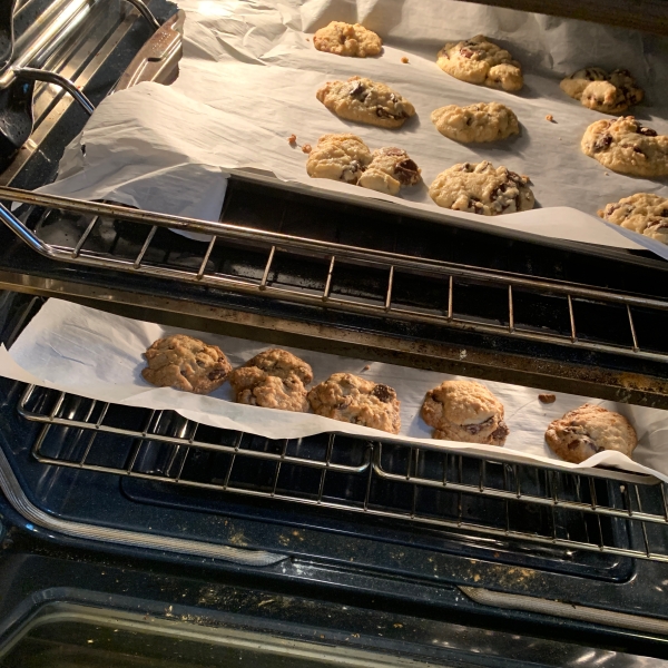 Passover Chocolate Chip Cookies