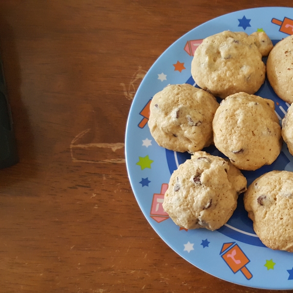 Passover Chocolate Chip Cookies