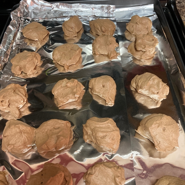 Passover Chocolate Chip Cocoa Meringues