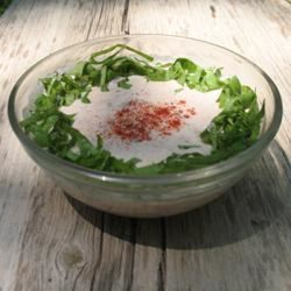 BLT II Dip