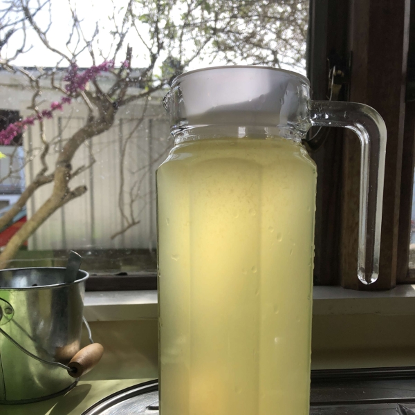 Best Homemade Lemonade Ever
