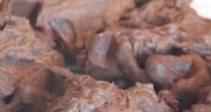 Turtle Cookies III