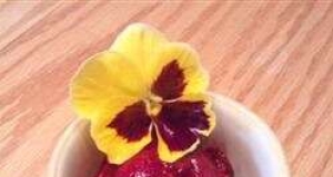 Black Raspberry Sorbet