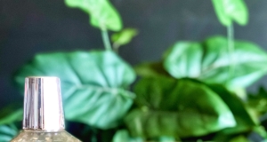 Candy Red Apple Martini