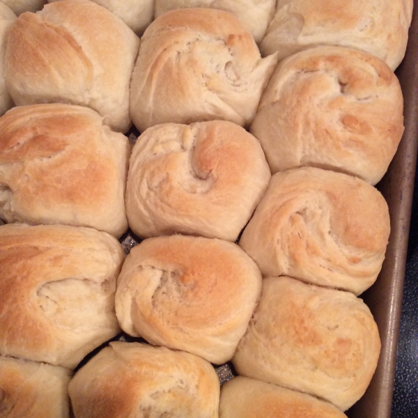 Buttery Dinner Pan Rolls
