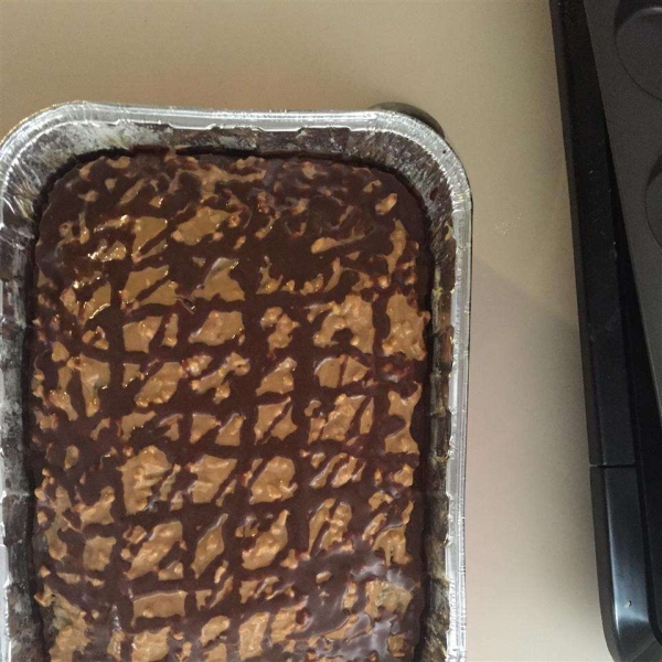 Peanut Butter and Chocolate Cake II
