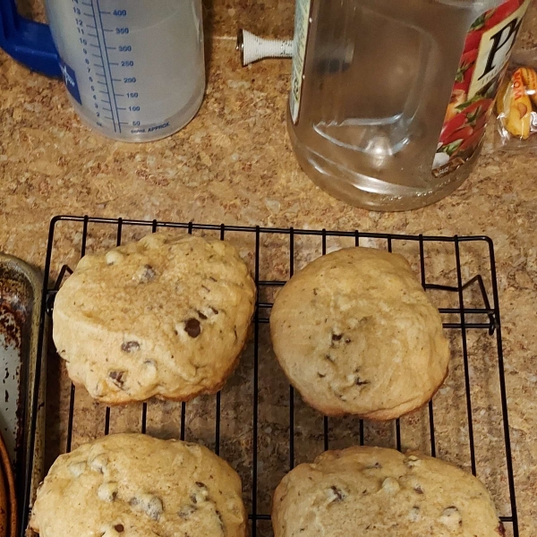 Best Big, Fat, Chewy Chocolate Chip Cookie