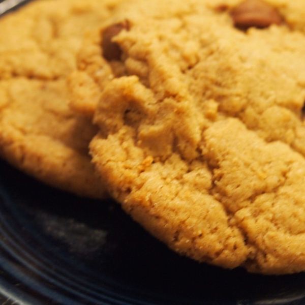 Best Big, Fat, Chewy Chocolate Chip Cookie