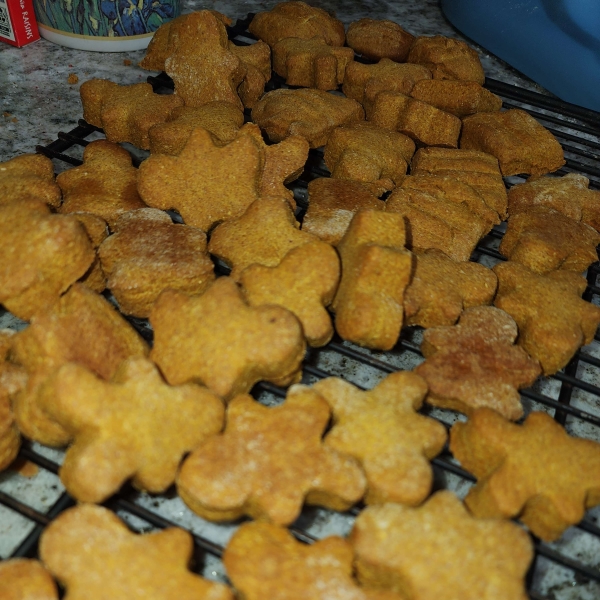 Homemade Dog Treats (Peanut Butter and Pumpkin)