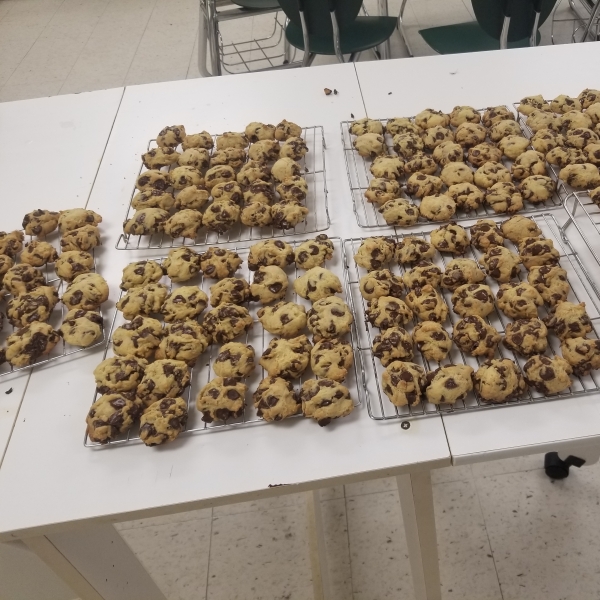 Best Ever Chocolate Chip Cookies