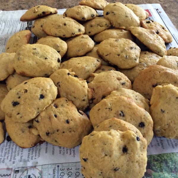 Pumpkin Cookies II
