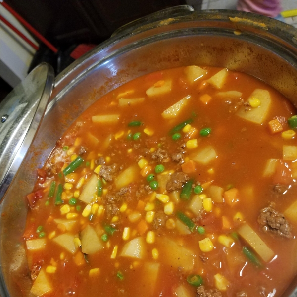 Hamburger Stew with Potatoes