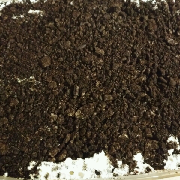 Layin' the Chocolate Smack Down