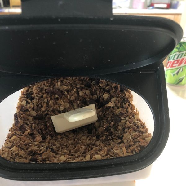 Homemade Granola