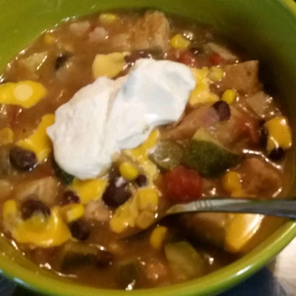 Vegetarian Tortilla Stew