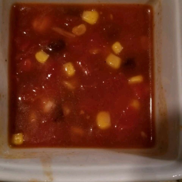 Vegetarian Tortilla Stew