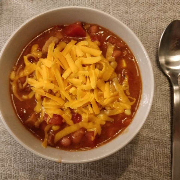 Vegetarian Tortilla Stew
