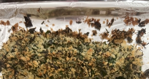 Herb Crusted Halibut