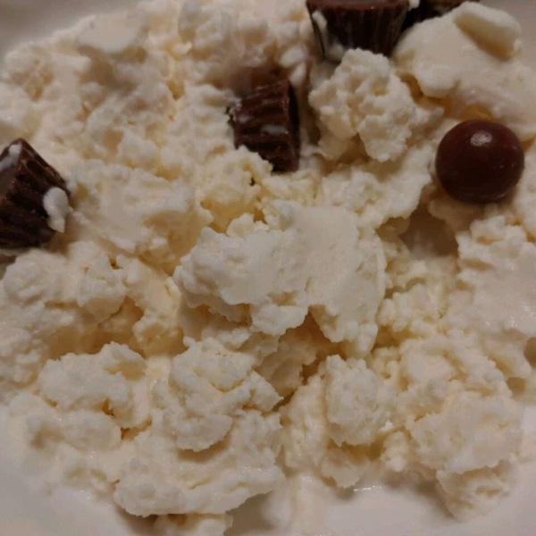 Easy Ice Cream in a Bag