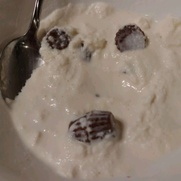 Easy Ice Cream in a Bag