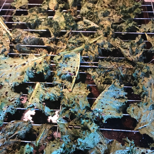 Kale Chips