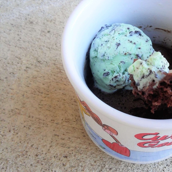 Chocolate Ice Cream Mug Cake