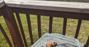 Easy Chicken Yakitori