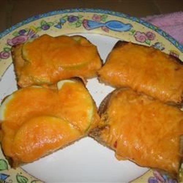 Sunshine Hummus Melts