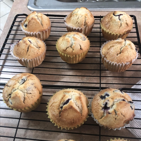 Jordan Marsh Style Blueberry Muffins