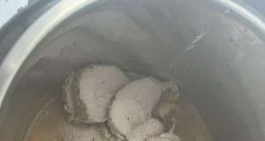 Instant Pot® Pork Tenderloin