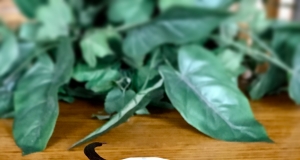 Brandy Vanilla for Baking
