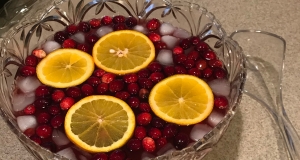 Cranberry Rum Punch