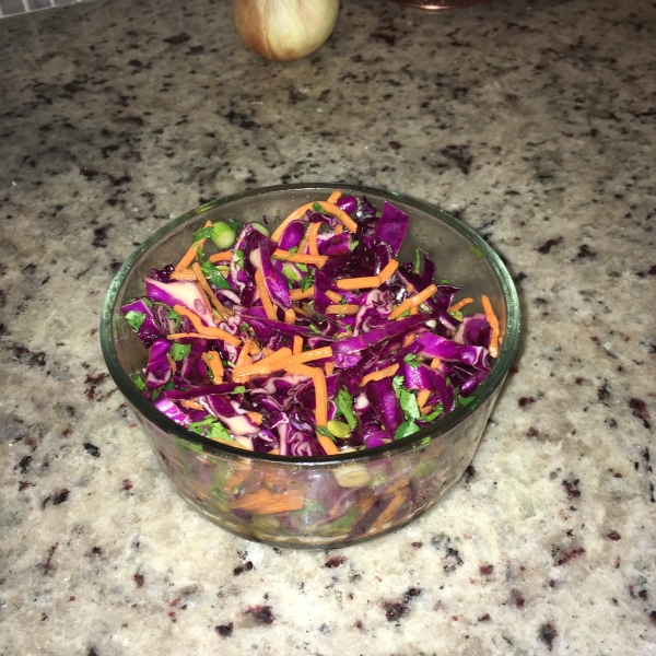 Spicy Garden Slaw