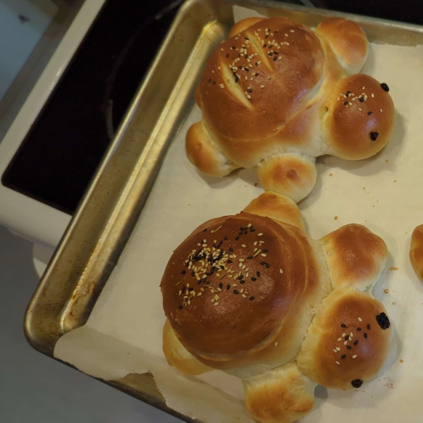 Turtle Bread