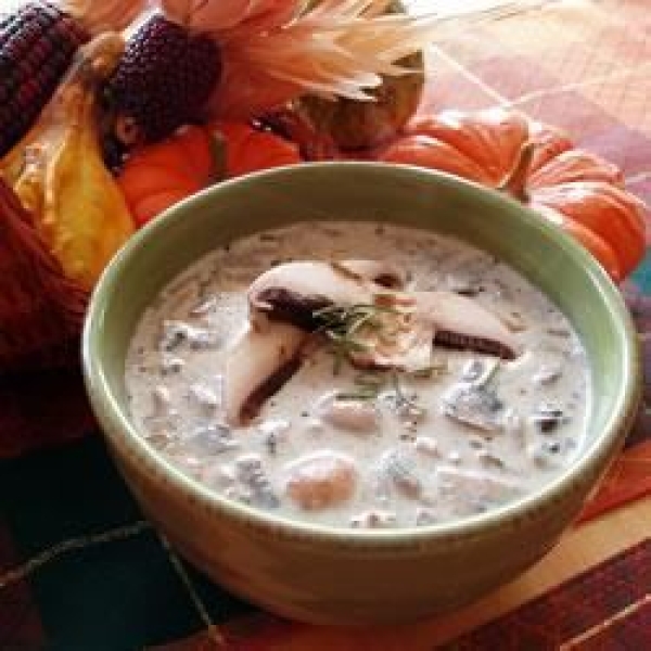 Chicken, Fennel and Mushroom Soup