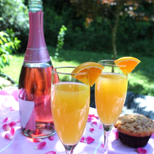 Pink Mimosa