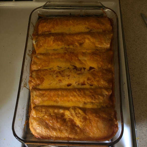 Progresso® Chicken Enchiladas