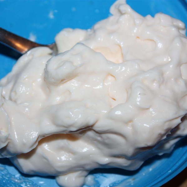 Eggless Mayonnaise