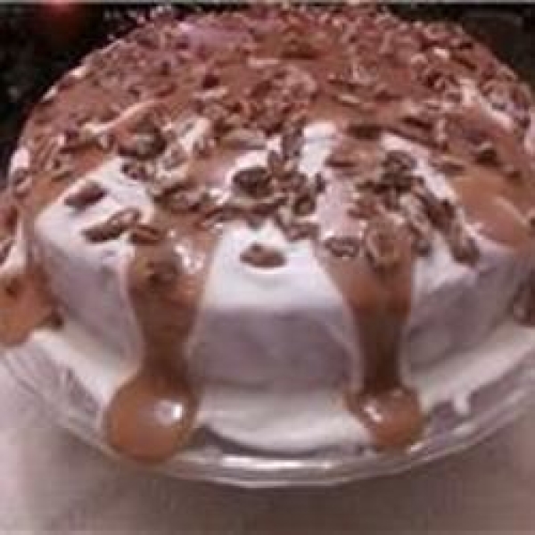 My Mom's Apple Sauce Cake
