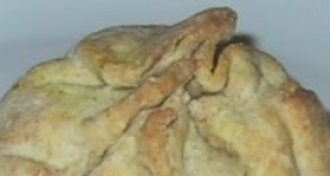 Instant Vegetable Patties