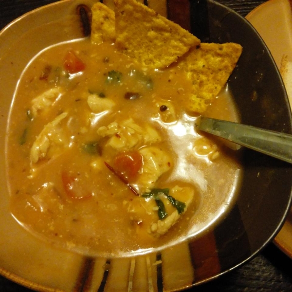 Chipotle Pepper and Chicken Soup