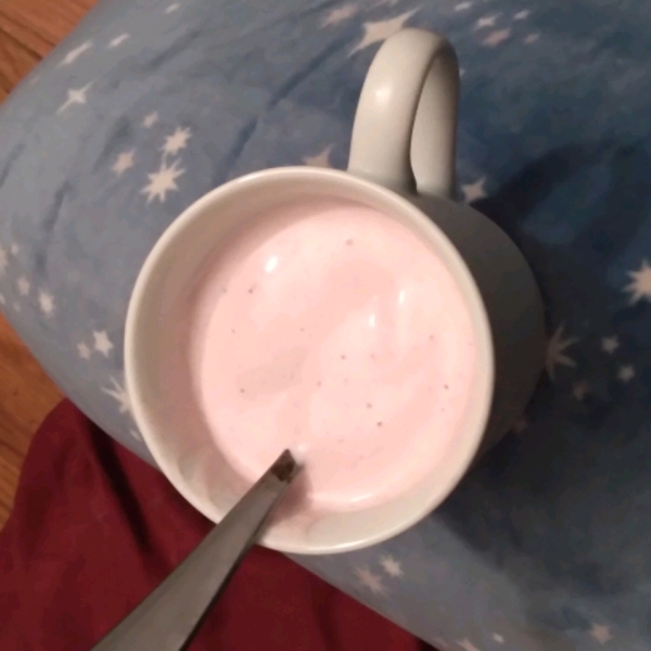 Five Minute Ice Cream